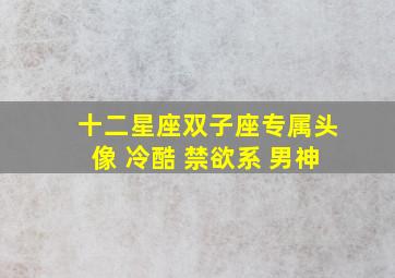 十二星座双子座专属头像 冷酷 禁欲系 男神